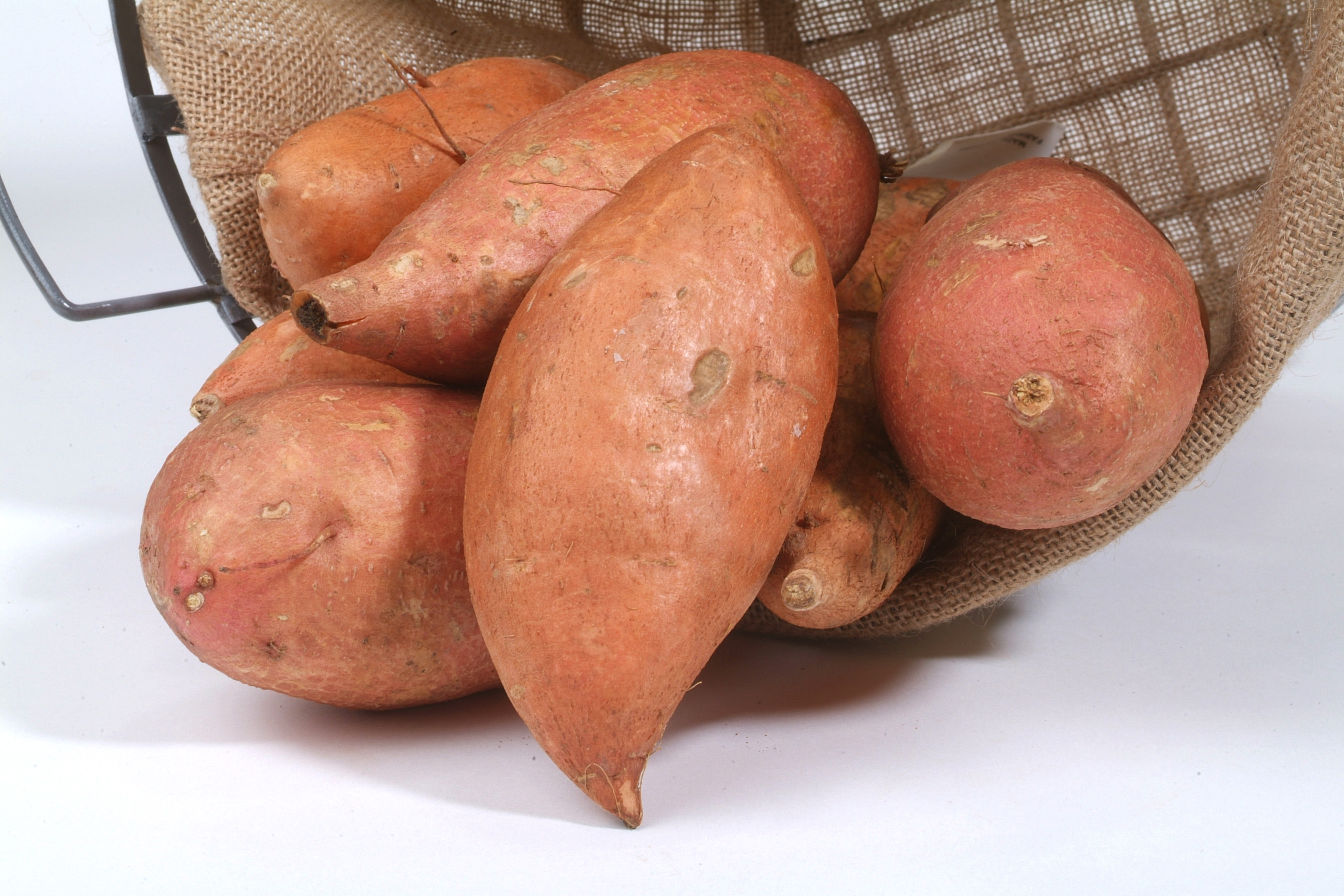 Sweet potato field day set for Aug. 31 at Chase 